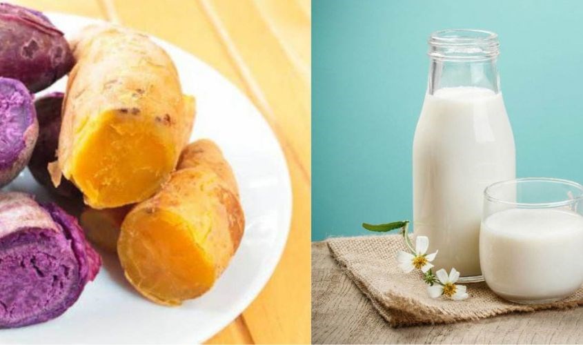 Giảm cân cùng sữa tươi và khoai lang