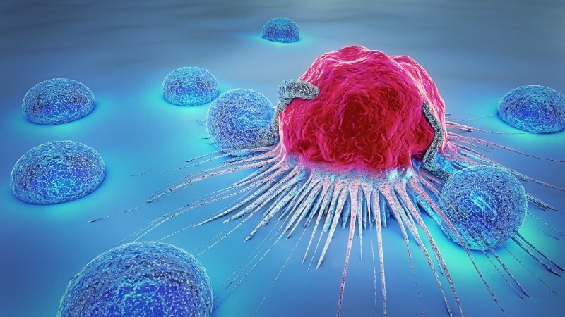 Các tế bào ung thư là nguyên nhân gây suy gan cấp