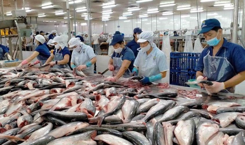 Nguyên liệu chính để làm da cá trứng muối là cá basa