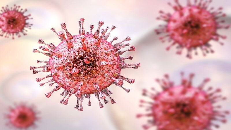 Virus cytomegalo lây nhiêm qua dịch tiết của cơ thể như nước bọt