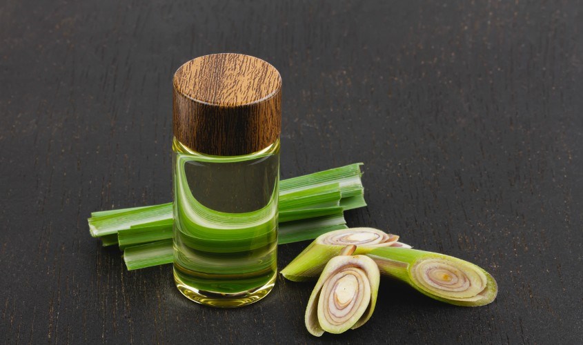 Dầu oliu kết hợp với sả giúp trị rụng tóc