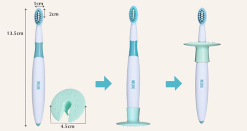 nên chú ý đến kích thước của đầu và thân bàn chải