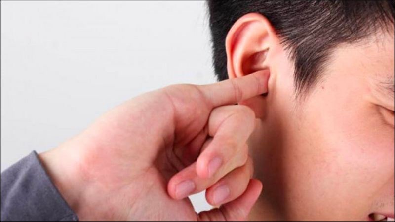 Gãi tai quá mức có thể làm tăng các tổn thương