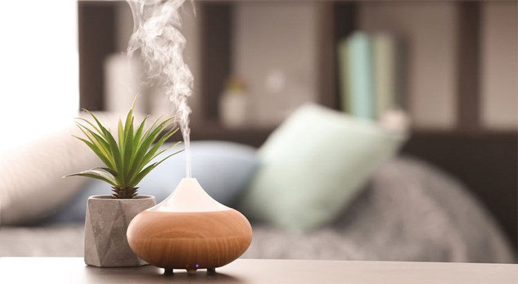 Một số loại tinh dầu có khả năng xua đuổi côn trùng