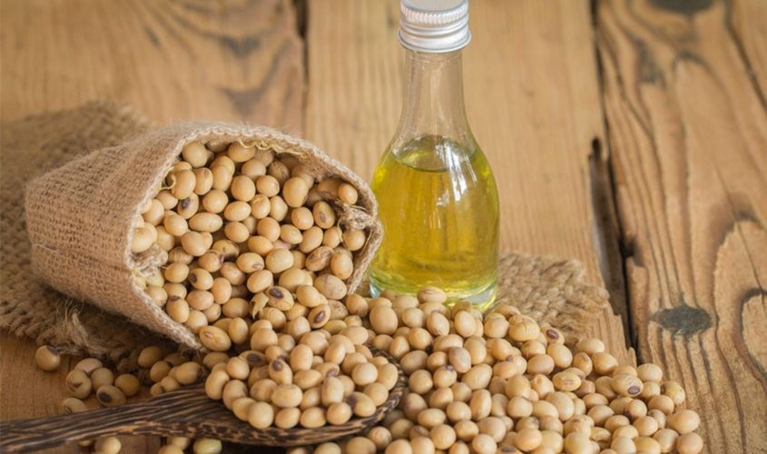 Sản phẩm có thành phần được chiết xuất đậu nành 