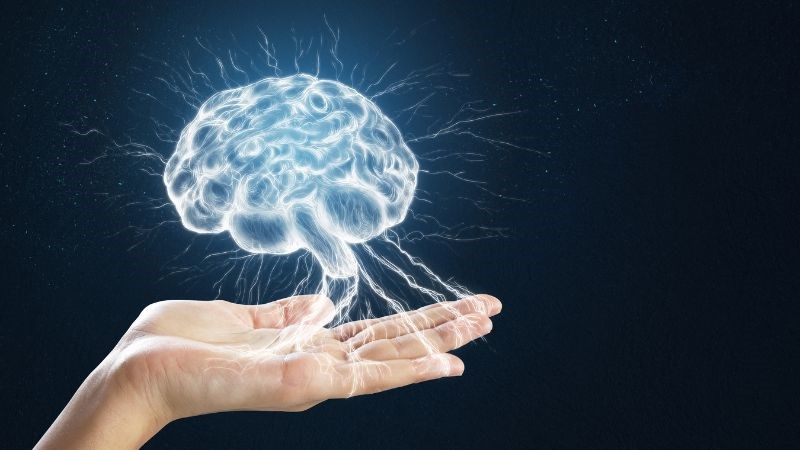 Hạt hướng dương đem lại nhiều tác dụng tốt cho não bộ 