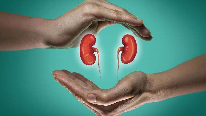 Hạt hướng dương có nhiều chất ảnh hưởng xấu đến sức khỏe thận