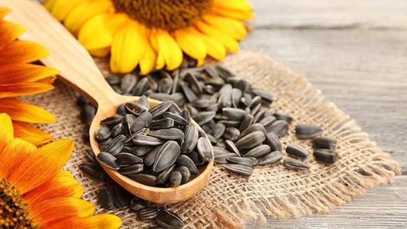 Hạt hướng dương chứa nhiều thành phần bổ dưỡng cho cơ thể