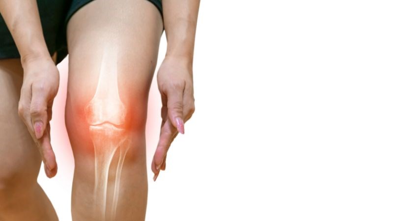 Hạt hướng dương cung cấp các dưỡng chất tốt cho hệ xương khớp