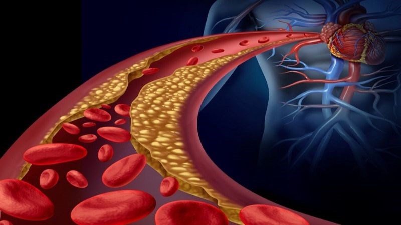 Hạt hướng dương góp phần giảm cholesterol máu và các vấn đề tim mạch