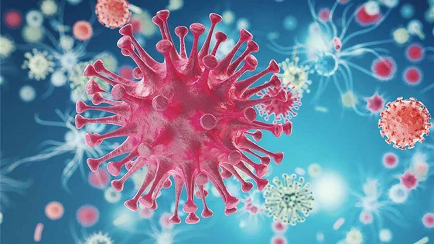 Các chất oxy hóa trong sữa hạt có thể chống lại quá trình hình thành và phát triển tế bào ung thư trong cơ thể