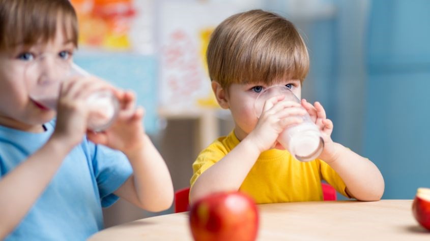 Sữa hạt, đặc biệt là sữa đậu nành, cung cấp hàm lượng lớn vitamin D