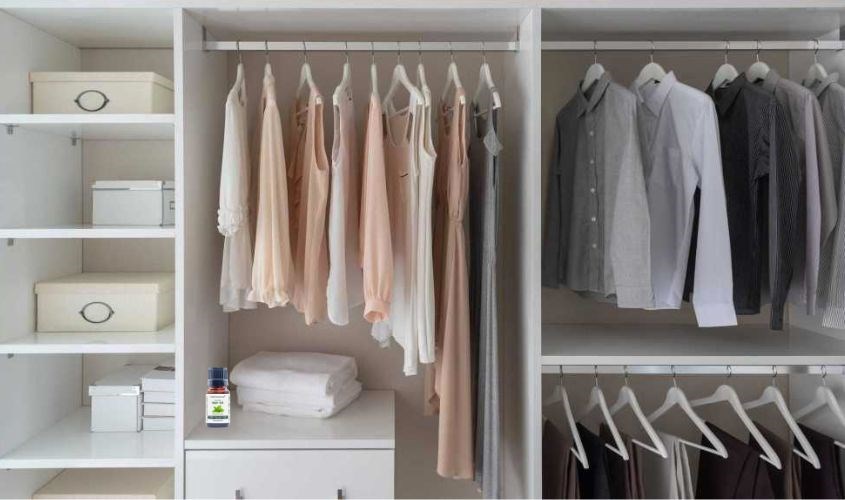 Chỉ cần vài phút là tủ quần áo sẽ được khuếch tán thơm ngát