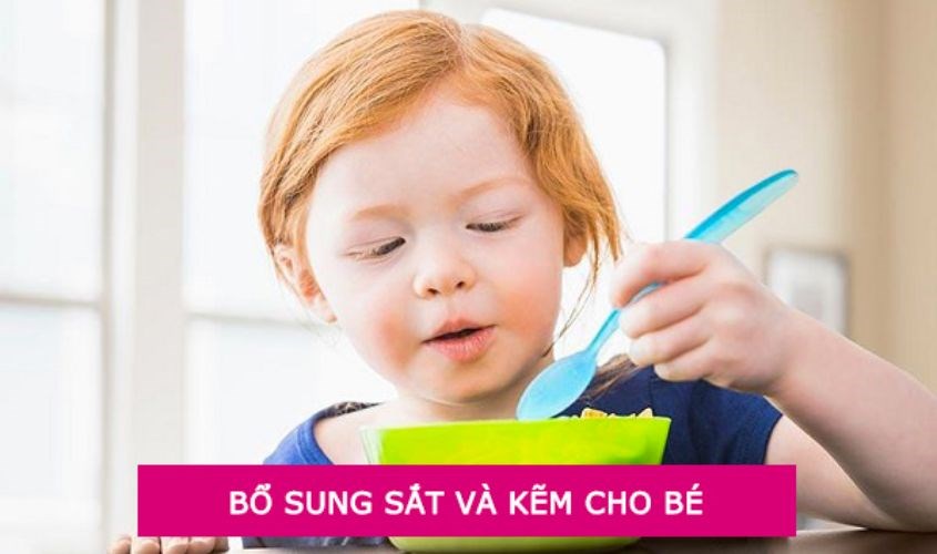 Giúp cơ thể được bổ sung thêm chất sắt, kẽm