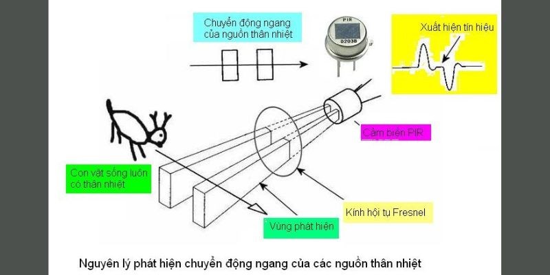 Nguyên lý hoạt động của đèn sử dụng cảm biến Nguyên lý hoạt động của đèn sử dụng cảm biến