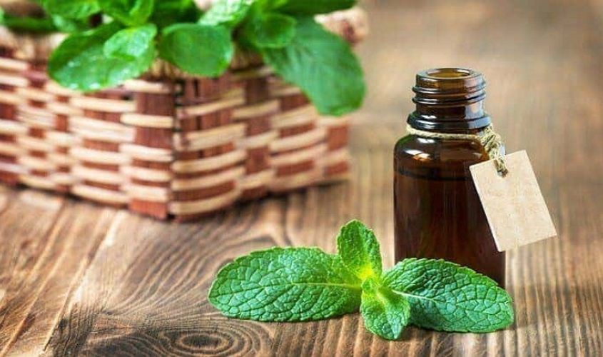 Dưỡng tóc với tinh dầu bạc hà