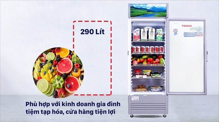 tủ mát tiết kiệm điện dung tích 290 lít