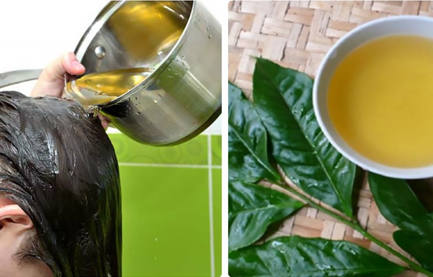 Sử dụng nước trà xanh