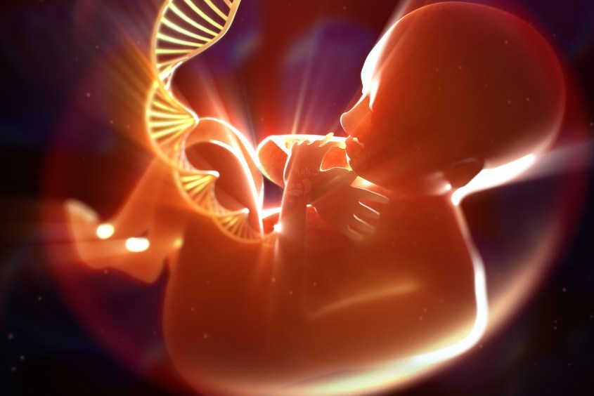 Mẹ nên thực hiện siêu âm hình thái học vào 3 mốc thời gian quan trọng theo khuyến nghị