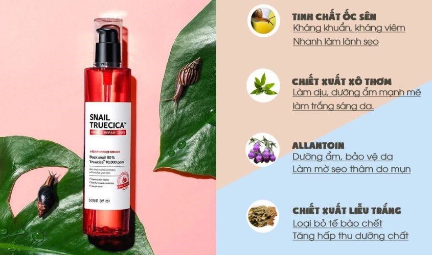 Sử dụng liên tục sẽ thấy hiệu quả nhanh chóng 