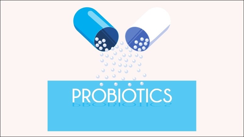 Probiotics đóng vai trò lớn đối với hệ tiêu hóa