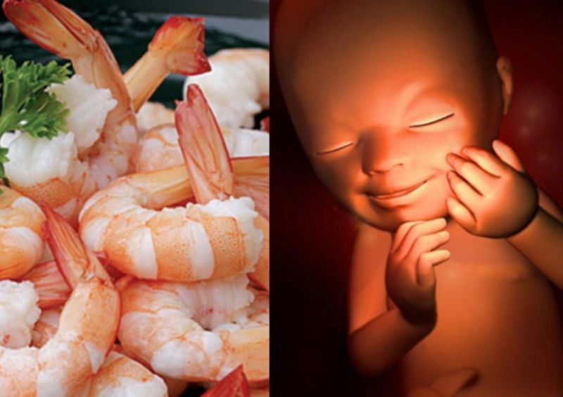 Bà bầu ăn tôm bổ sung amino axit và protein cho thai kỳ