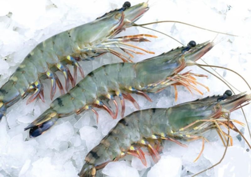 Chỉ nên sử dụng tôm tươi, mua ở những địa chỉ uy tín