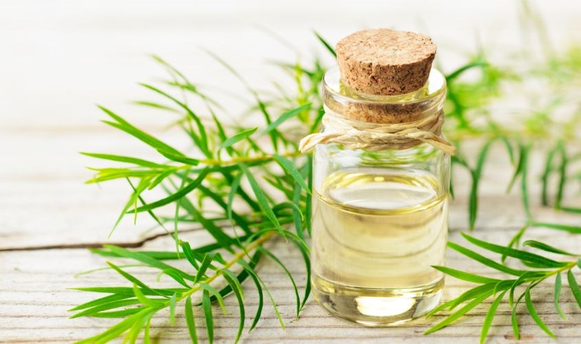 Thành phần được chiết xuất từ thiên nhiên, hoàn toàn không chứa các chất kích ứng gây hại cho da Thành phần được chiết xuất từ thiên nhiên, hoàn toàn không chứa các chất kích ứng gây hại cho da