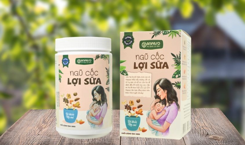 Ngũ cốc lợi sữa Anpaso hũ 500g