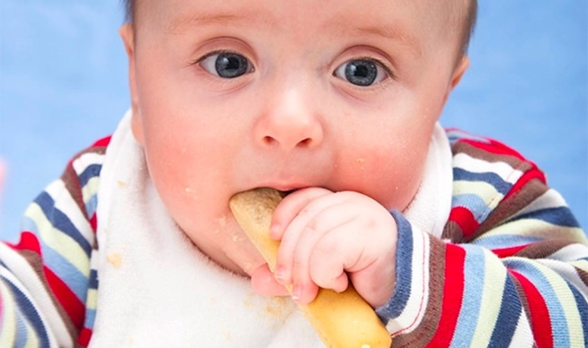 Bé từ 7 tháng tuổi sử dụng bánh ăn dặm để bổ sung năng lượng