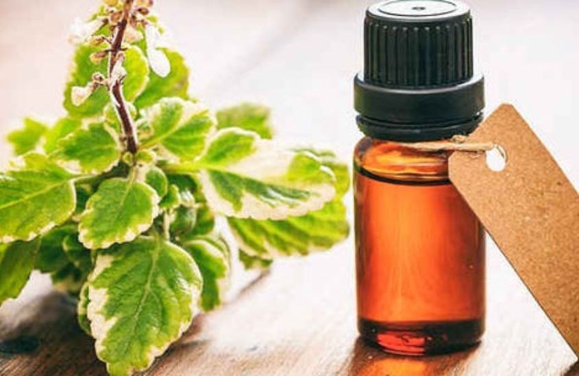 Một số loại tinh dầu không phù hợp với mẹ bầu