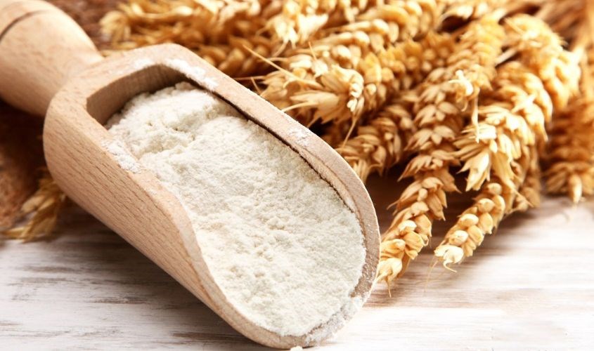 Yến mạch dạng bột