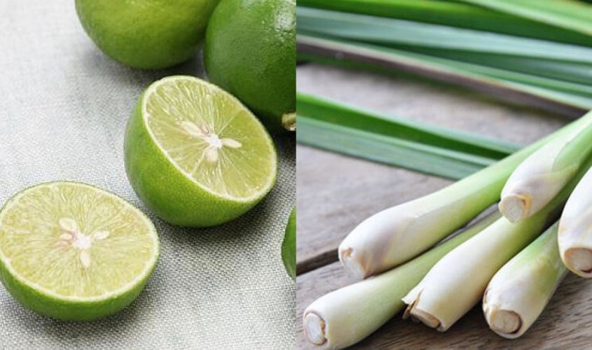 Mùi hương tự nhiên từ chanh sả