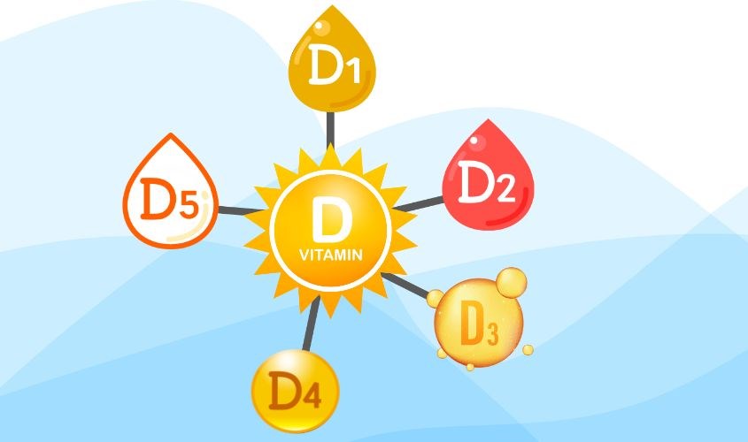 Có 5 dạng vitamin D từ D1 đến D5