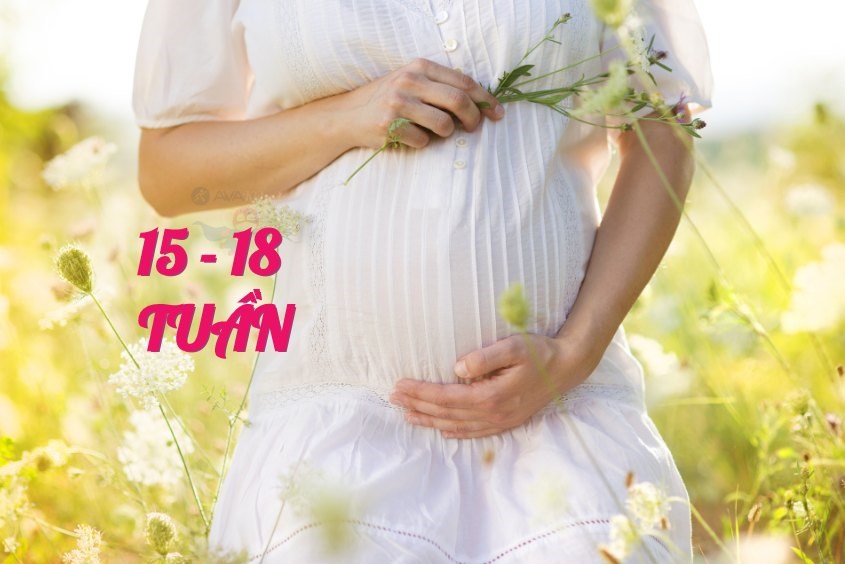 Trường hợp được chỉ định chọc ối, các bác sĩ sẽ tiến hành vào khoảng tuần 15 - 18 của thai kỳ