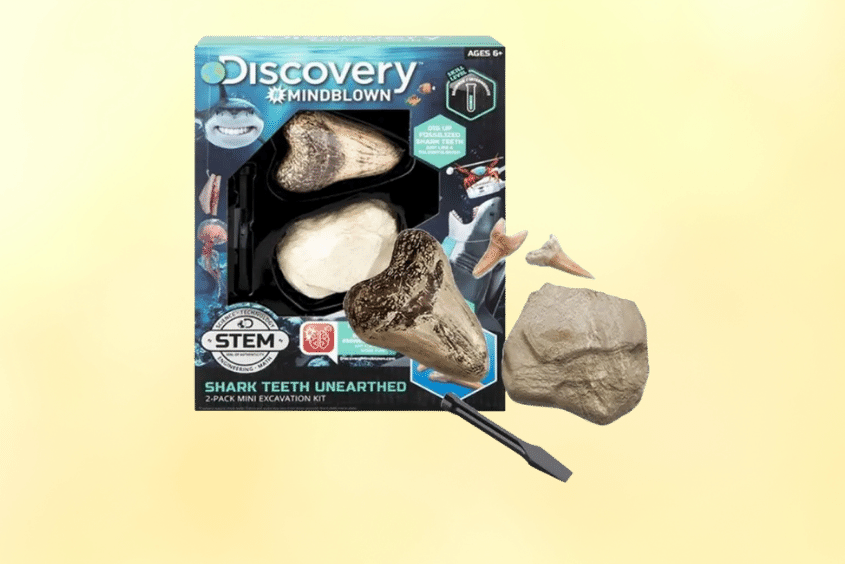 Bộ đồ chơi khảo cổ truy tìm răng cá mập Discovery 1423004791