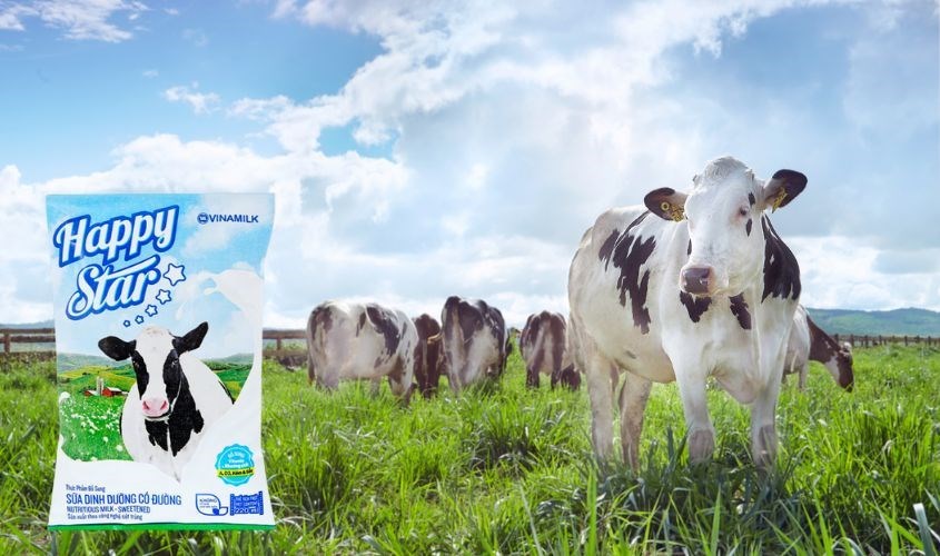Sữa tươi Vinamilk Happy Star có đường 220 ml Sữa tươi Vinamilk Happy Star có đường 220 ml