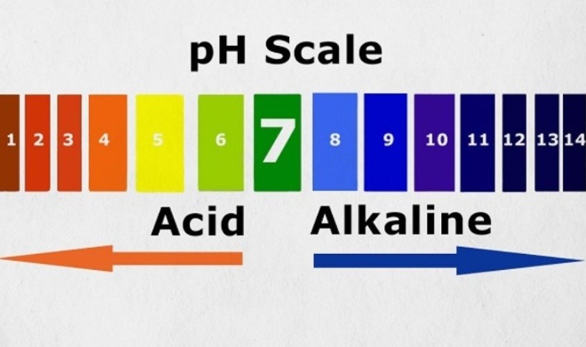 Nhận biết độ pH qua giấy quỳ tím