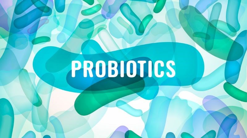 Bổ sung probiotics vào cơ thể giúp kiểm soát nhiễm trùng