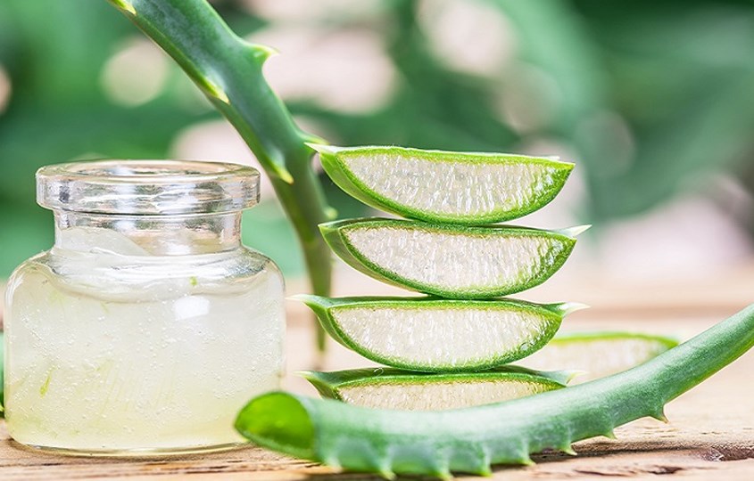 Dùng lô hội làm dịu da