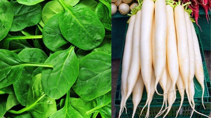Người loãng xương nên tránh thực phẩm giàu phylate và oxalate