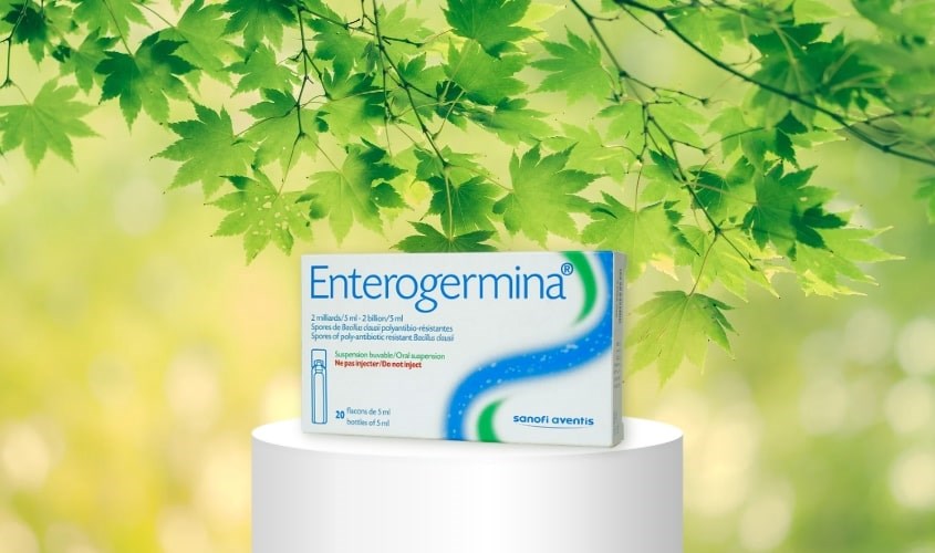 Men vi sinh Enterogermina 