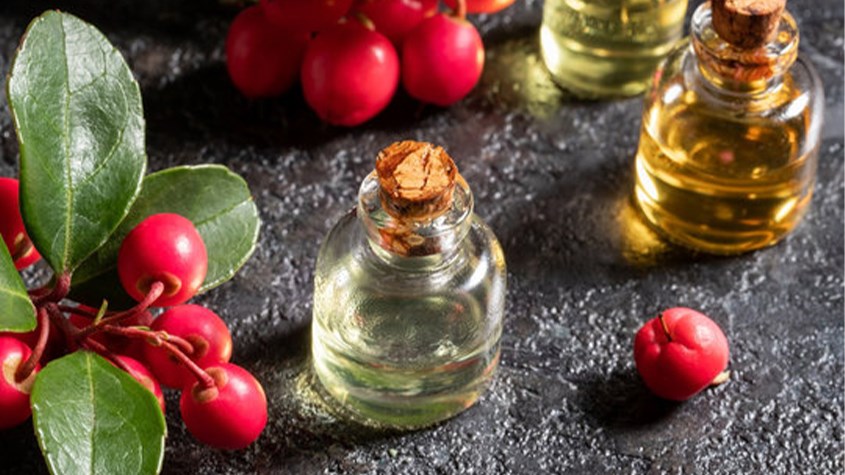 Chiết xuất cây lộc đề xanh 