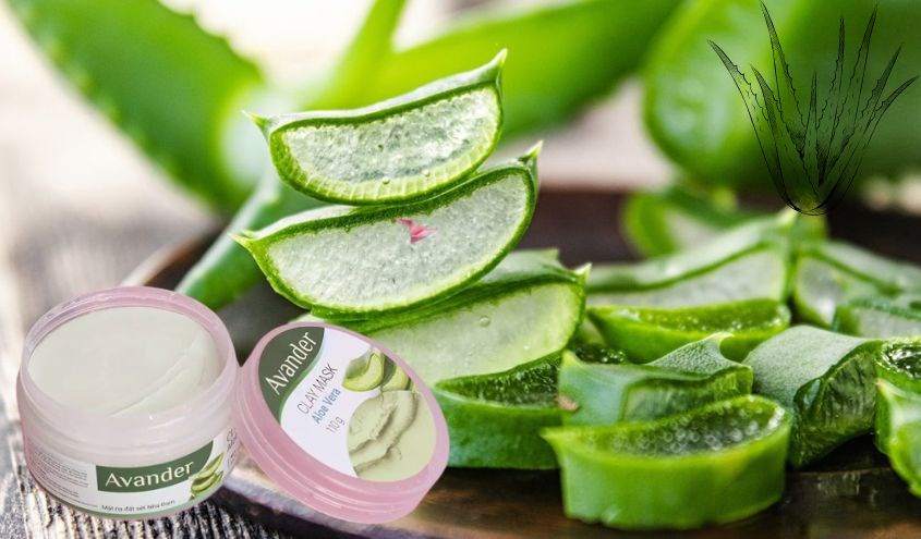 Mặt nạ Đất Sét Lô Hội Avander Clay Mask - Aloe