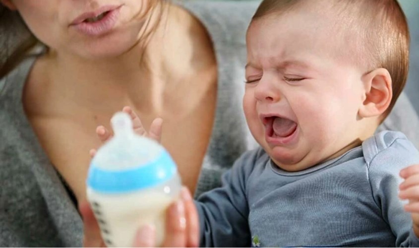  Sữa HiPP Organic có thể sẽ không hợp đối với trẻ thích vị sữa đậm và nồng