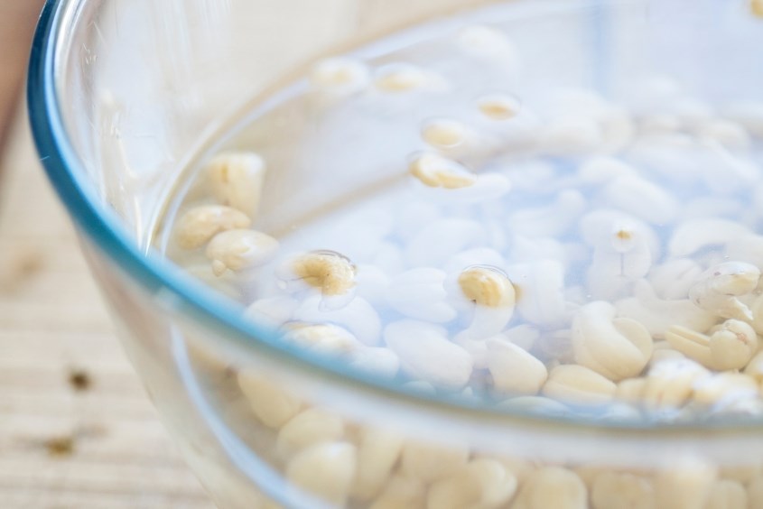 cách làm sữa hạt điều