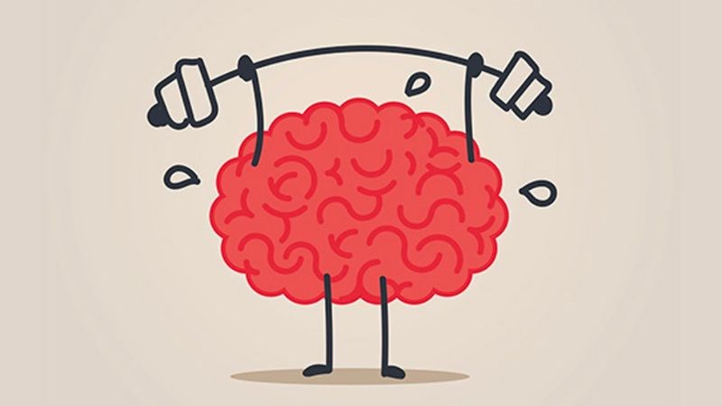 Creatine giúp tăng cường các Dopamine trong não bộ Creatine giúp tăng cường các Dopamine trong não bộ