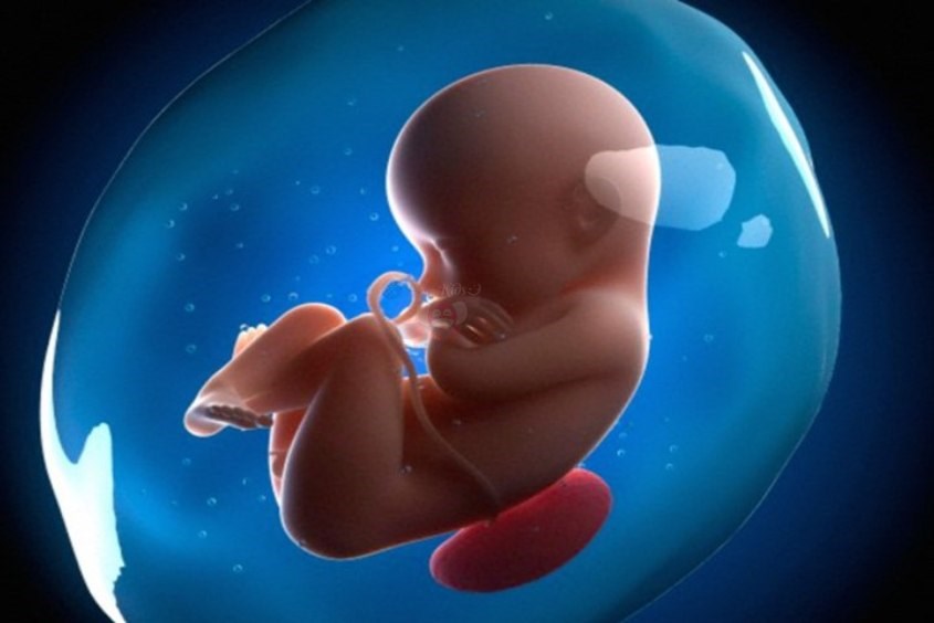 Thông qua chỉ số nước ối, bác sĩ sẽ đánh giá tình trạng sức khỏe của mẹ và bé