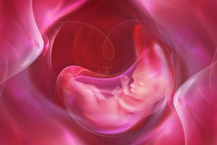 Để chỉ số nước ối chính xác nhất, mẹ cần tiến hành đo 2 lần liên tục