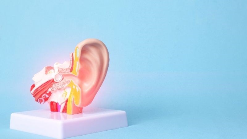 Giang mai giaia đoạn 3 có thể ảnh hưởng đến tai